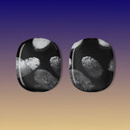 Evidence AirPods Max Case