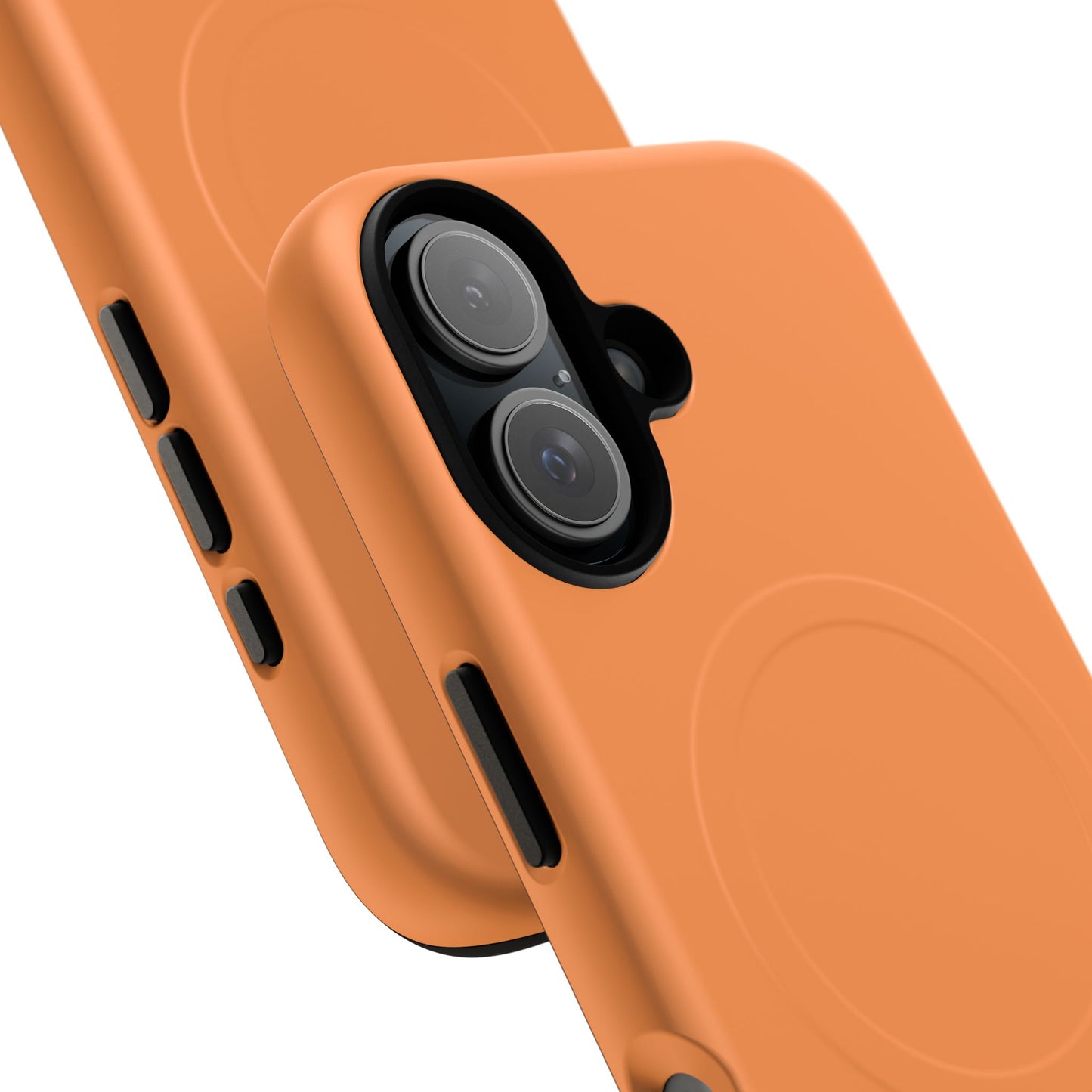 Fresh Orange